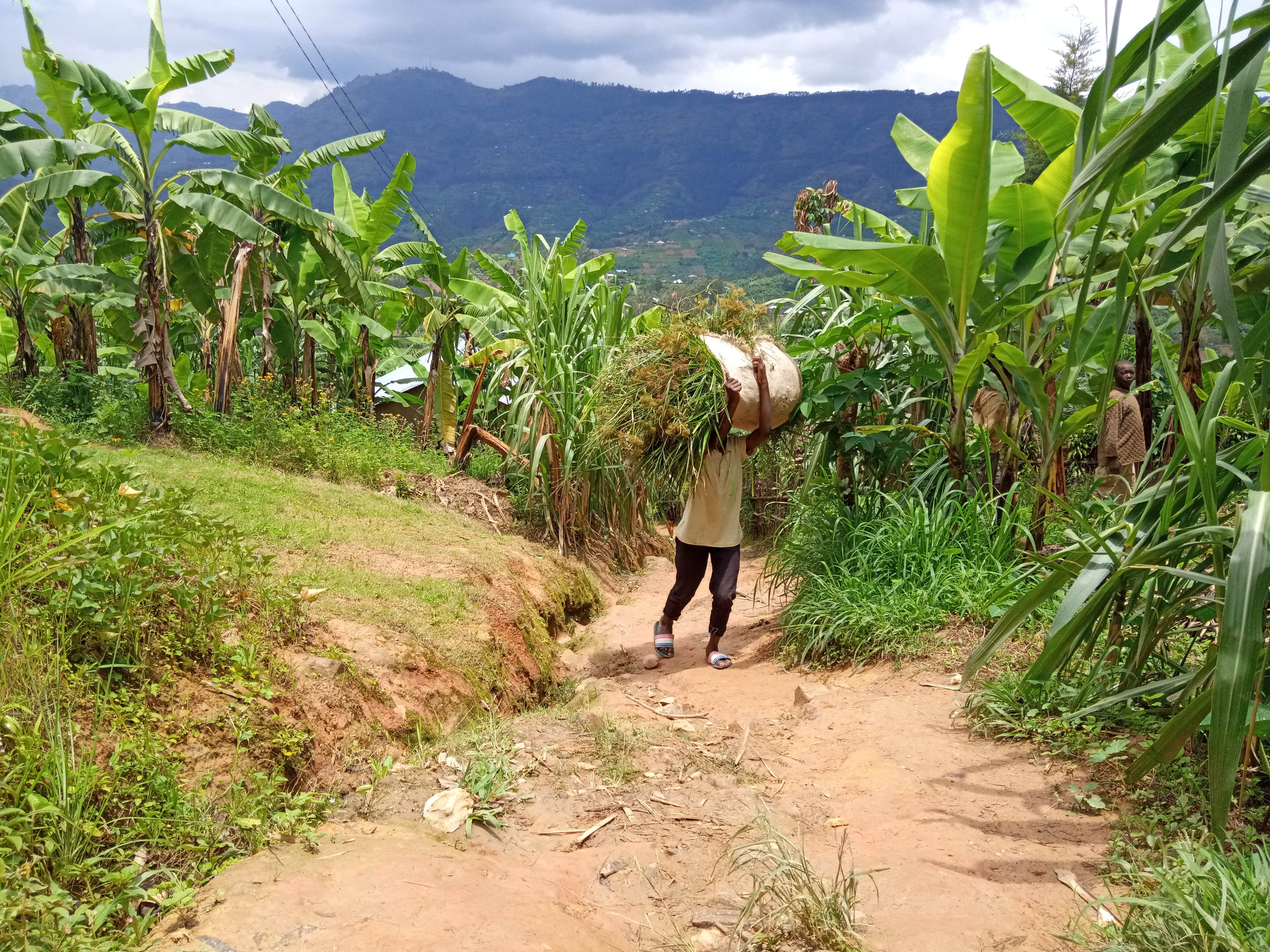 Hiking with weight