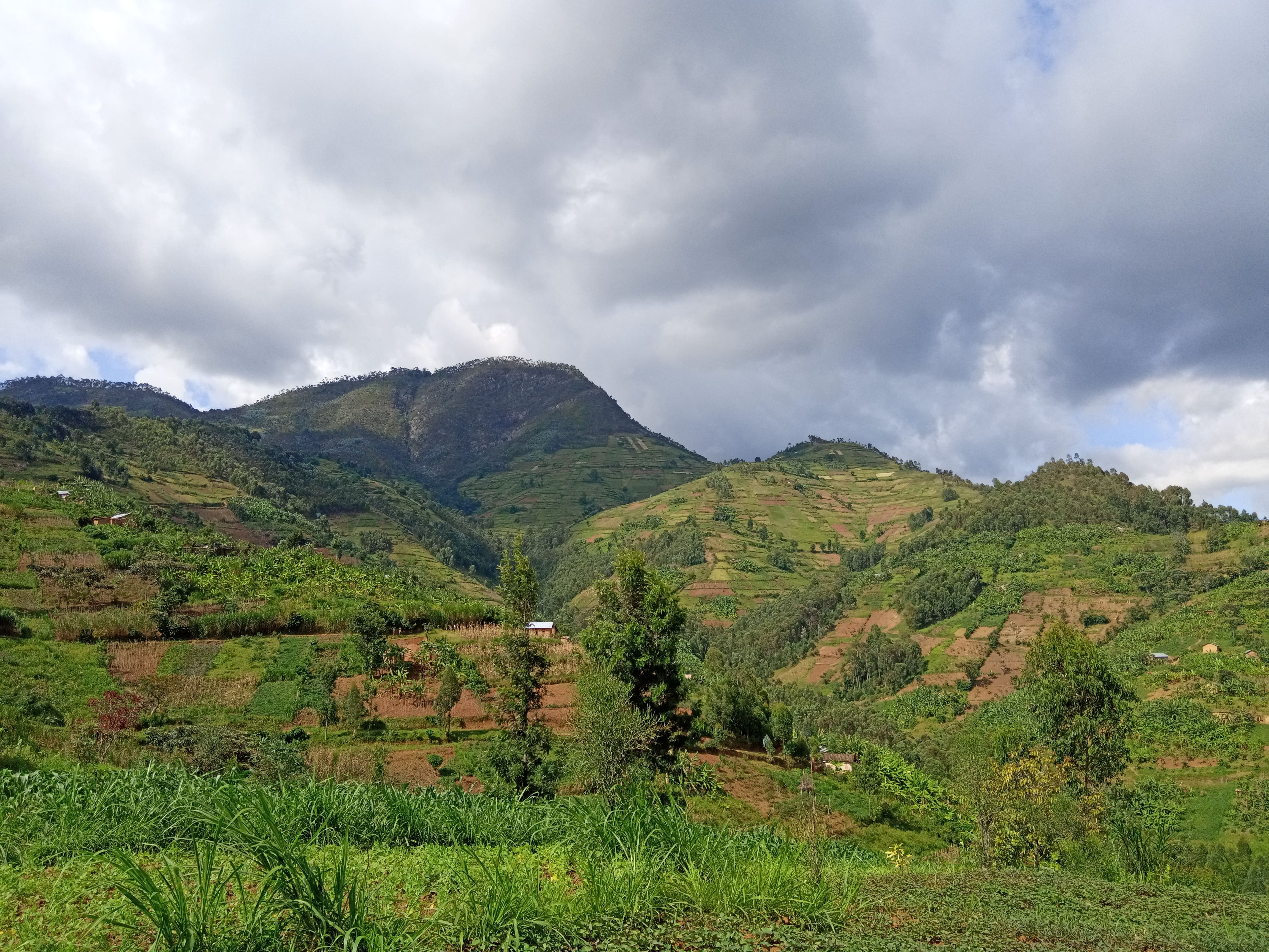 View of the summit from a distance